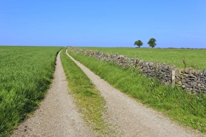 Track Prints: Track disappears into distance