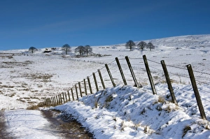 Track onto the fell in winter, Lower Pennines, Cumbria, England, United Kingdom, Europe