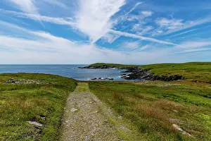 Newfoundland And Labrador Prints: Track leading to Mistaken Point