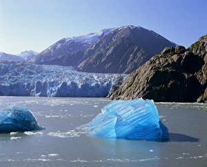 Alaska Prints: Tracy Arm Glacier