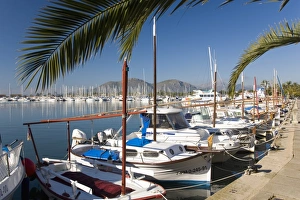 Ports Prints: Traditional boats moored in the harbour, Port d Alcudia, Mallorca, Balearic Islands
