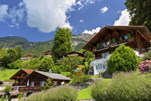 Swiss Prints: Traditional chalets on hillside, Brienz, Bernese Oberland, Switzerland