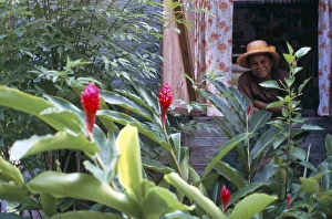 35 40 Years Prints: Traditional Creole house