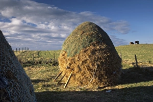 Hay Stack Prints: Traditional crofting land