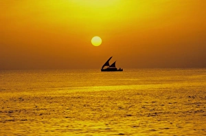 Dhoni Prints: Traditional dhoni sailing boat at sunset, Maldives, Indian Ocean, Asia