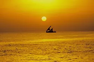 Traditional dhoni sailing boat at sunset, Maldives, Indian Ocean, Asia
