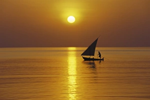 Dhoni Prints: Traditional dhoni sailing at sunset, Maldives, Indian Ocean, Asia
