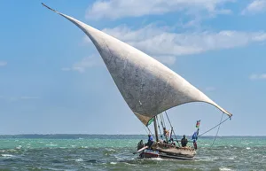 Sailboat Prints: Traditional dhow sailing in the Indian Ocean, island of Lamu, Kenya, East Africa, Africa