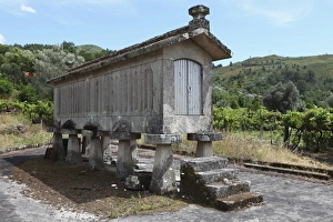 Minho Prints: Traditional elevated stone granary (espigueiro), used for storing corn