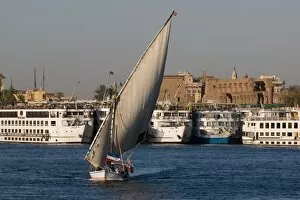Images Dated 9th April 2009: Traditional felucca sailing boat and cruise boats on the River Nile near Luxor, Egypt