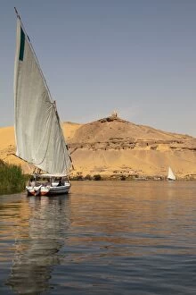 Images Dated 6th April 2008: A traditional felucca sailing boat on the River Nile near Aswan, Egypt, North Africa, Africa