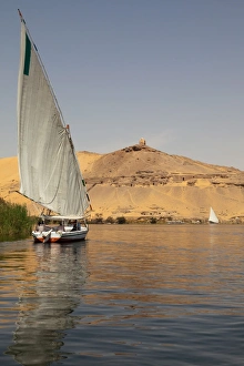 A traditional felucca sailing boat on the River Nile near Aswan, Egypt, North Africa, Africa A traditional felucca sailing boat on the River Nile near Aswan, Egypt, North Africa, Africa