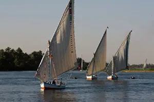 Luxor Prints: Traditional felucca sailing boats on the River Nile near Luxor
