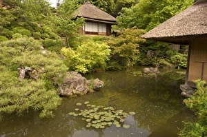 Traditional garden