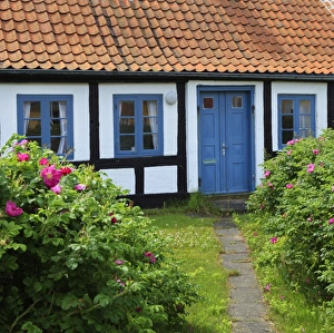 Cottages Prints: Traditional half-timbered house, Gammel Skagen, Jutland, Denmark, Scandinavia, Europe