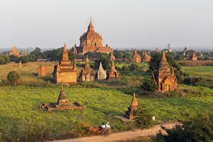 Bagan Prints: Traditional horse and cart passing the Pagodas in Bagan (Pagan), Myanmar (Burma), Asia