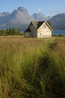 Traditional house
