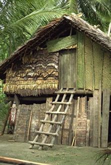 Papua New Guinea Prints: Traditional house with ladder to door