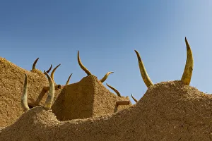 Dirt Prints: Traditional house, UNESCO World Heritage Site, Agadez, Niger, West Africa, Africa