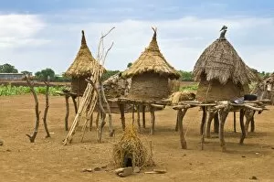Traditional houses of the Danasech tribe, Oromote, Omo valley, Ethiopia, Africa