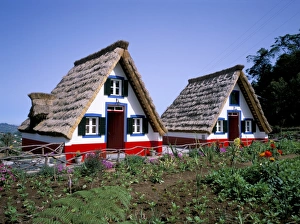 Local Famous Place Prints: Traditional houses at Santana