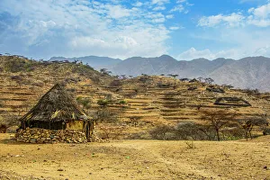 Eritrea Prints: Traditional hut in the highlands of Eritrea, Africa