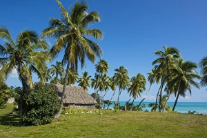 New Caledonia Prints: Traditional hut in Saint Joseph, Ouvea, Loyalty Islands, New Caledonia, Pacific