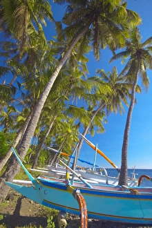 Beached Prints: Traditional Indonesian fishing boats at the beach, North coast, Bali, Indonesia