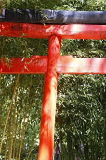 Gate Prints: Traditional Japanese portal, Anduze, Gard, France, Europe