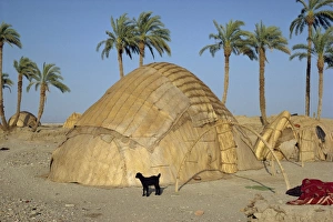 Traditional mud huts