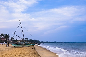 Negombo Prints: Traditional outrigger fishing boat (oruva), Negombo Beach, Negombo, Sri Lanka, Asia