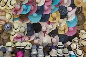 Panama Hat Prints: Traditional Panama hats and Sombreros for sale at a street market in Cartagena, Colombia