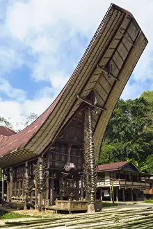 Homes Prints: Traditional saddleback roof Tongkonan house at family compound near Rantepao