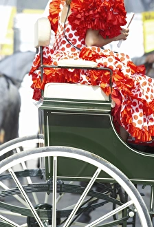 Traditional Spanish dress detail and horse carriage