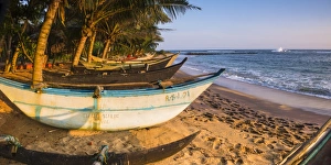 Typical Culture Prints: Traditional Sri Lanka fishing boat