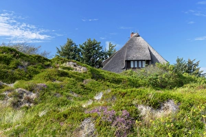 Identity Prints: Traditional thatched house, Rantum, Sylt, Schleswig Holstein, Germany, Europe