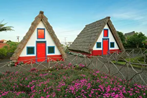 Inviting Prints: Traditional thatched houses with flowers at dawn