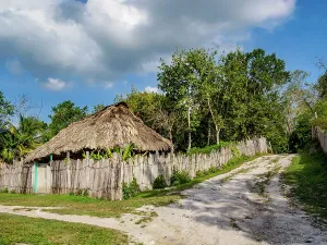 Indigenous Prints: Traditional thatched hut stands beside a dirt road in Uaxactun Village in Guatemala surrounded by trees and greenery