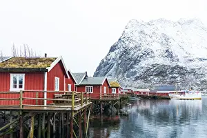 Piers Prints: Traditional thatched roofed red cabins with majestic Reinebringen mountain in the background