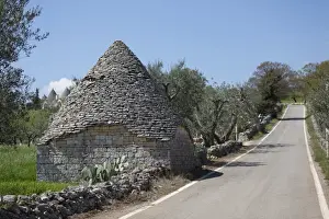 Traditional trullos (trulli) in the countryside near Alberobello, Puglia, Italy, Europe