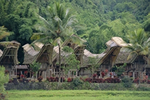 Traditional village