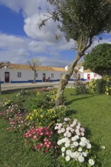 Beja Prints: Traditional white and blue painted cottages in village centre, Porto Cova