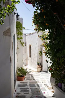 Chora Prints: Traditional whitewashed house in Chora, Serifos, Cyclades, Greek Islands, Greece, Europe