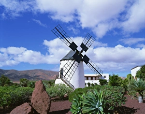 Wind Power Prints: Traditional windmill near Antigua, Fuerteventura, Canary Islands, Spain, Europe