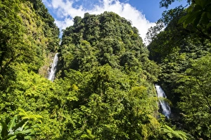 Dominica Prints: Trafalgar Falls, Morne Trois Pitons National Park