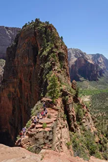 Trails Prints: Trail to Angels Landing, Zion National Park, Utah, United States of America, North America