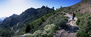 Up Hill Prints: Trail to Roque Nublo, Gran Canaria, Canary Islands, Spain, Europe