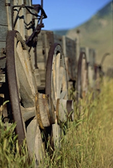 Wagons Prints: Trailways Museum, Cody, Wyoming, United States of America, North America