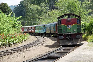 Curving Prints: Train arriving at platform of railway station at Ella