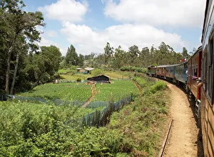 Passenger Prints: Train journey through countryside near Pittipola, Sri Lanka, Asia